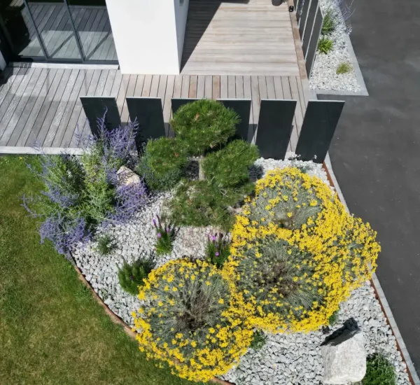 Plantation de végétaux massif bordure terrasse et allée bitume enrobé projet aménagement paysager Plouescat Carré Vert Paysages