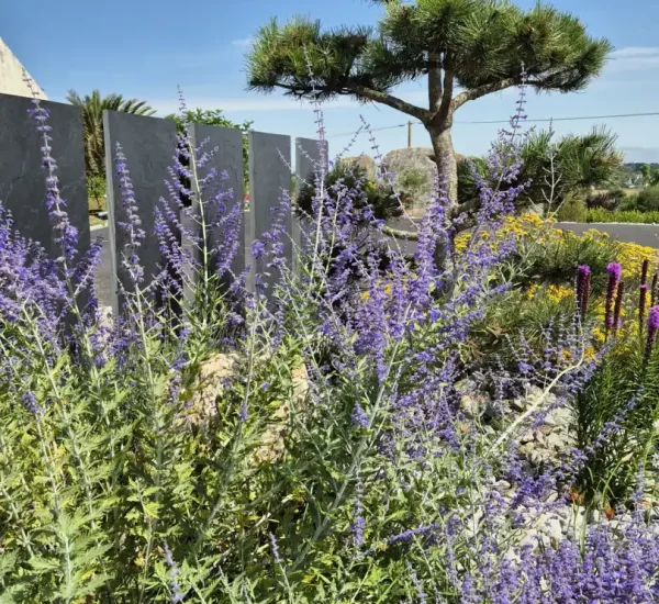 Plantation végétaux projet aménageent paysager Plouescat Carré Vert Paysages